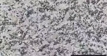 厦门 芙蓉白（芝麻白大花）火烧面