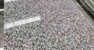 厦门 芙蓉白光面