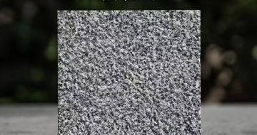 厦门 芝麻黑荔枝面