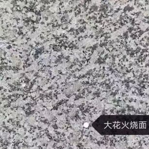 厦门 芙蓉白（芝麻白大花）火烧面