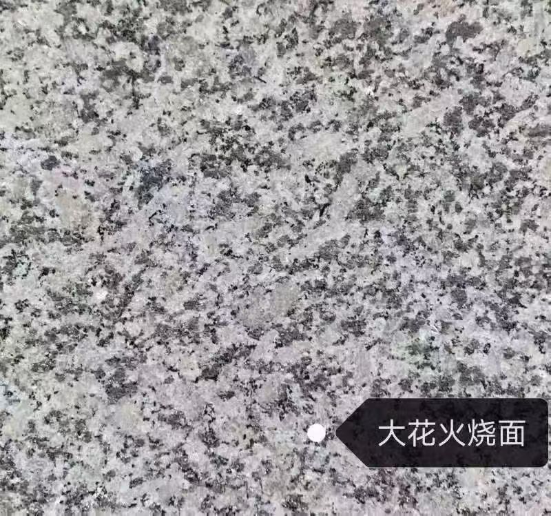 厦门 芙蓉白（芝麻白大花）火烧面