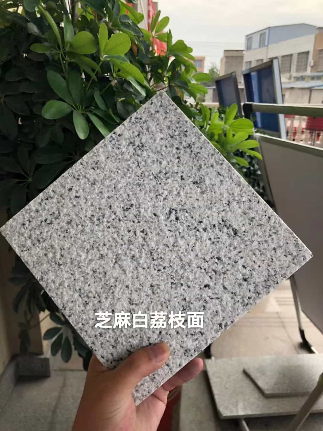 厦门 芝麻白荔枝面干挂