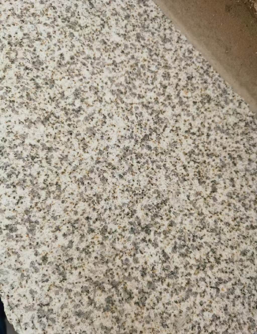 厦门 黄金麻中黄光面