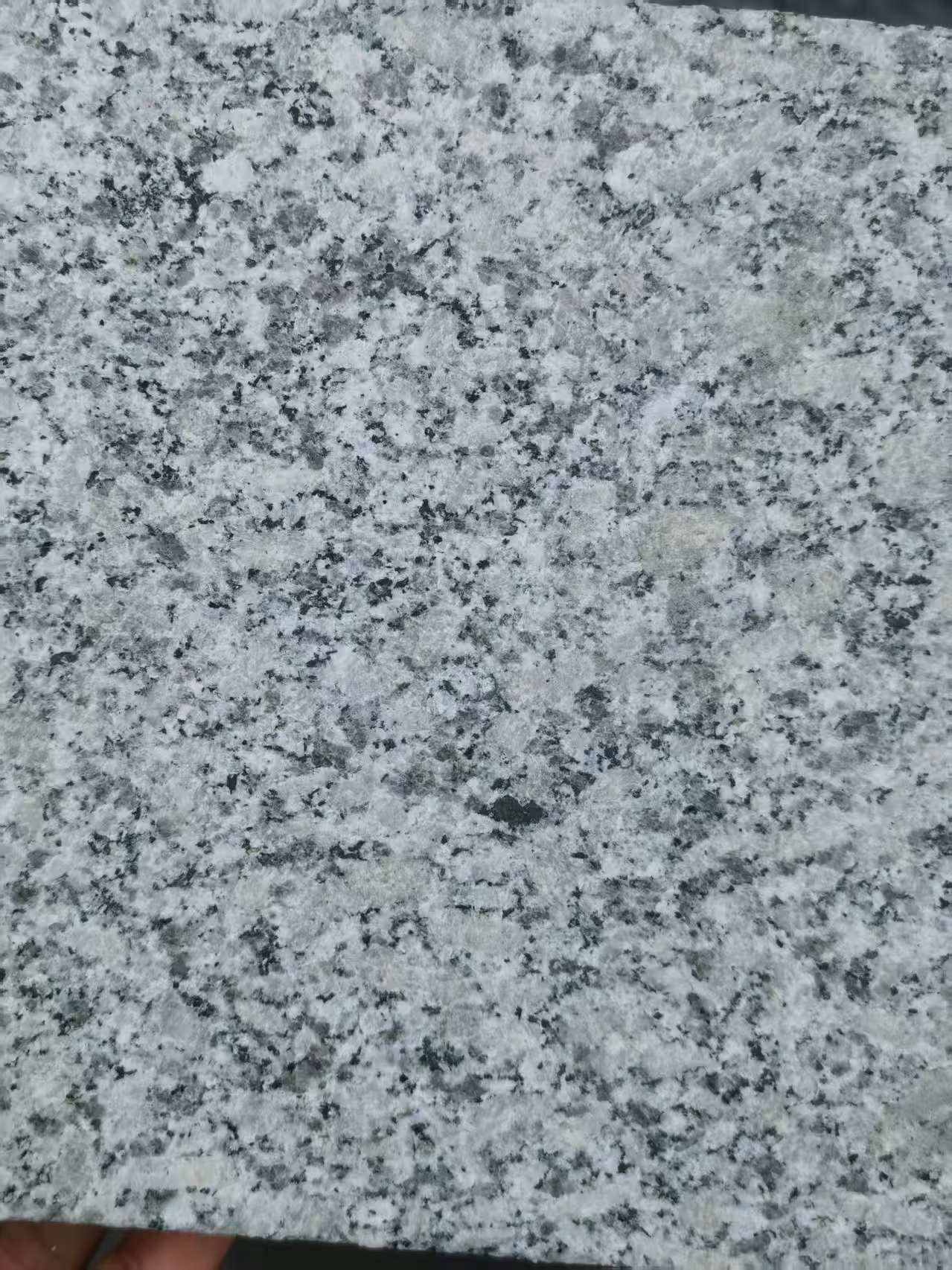 厦门 芙蓉白火烧面