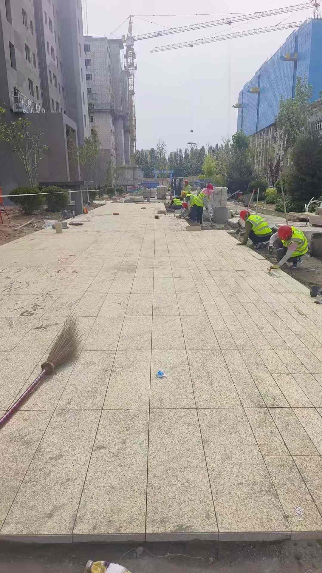厦门黄金麻荔枝面地铺案例