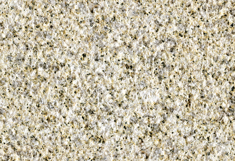 厦门黄金麻荔枝面浅黄